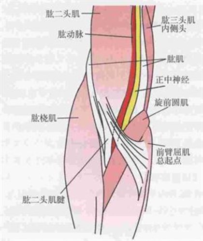 淺談?wù)猩窠?jīng)損傷的臨床表現